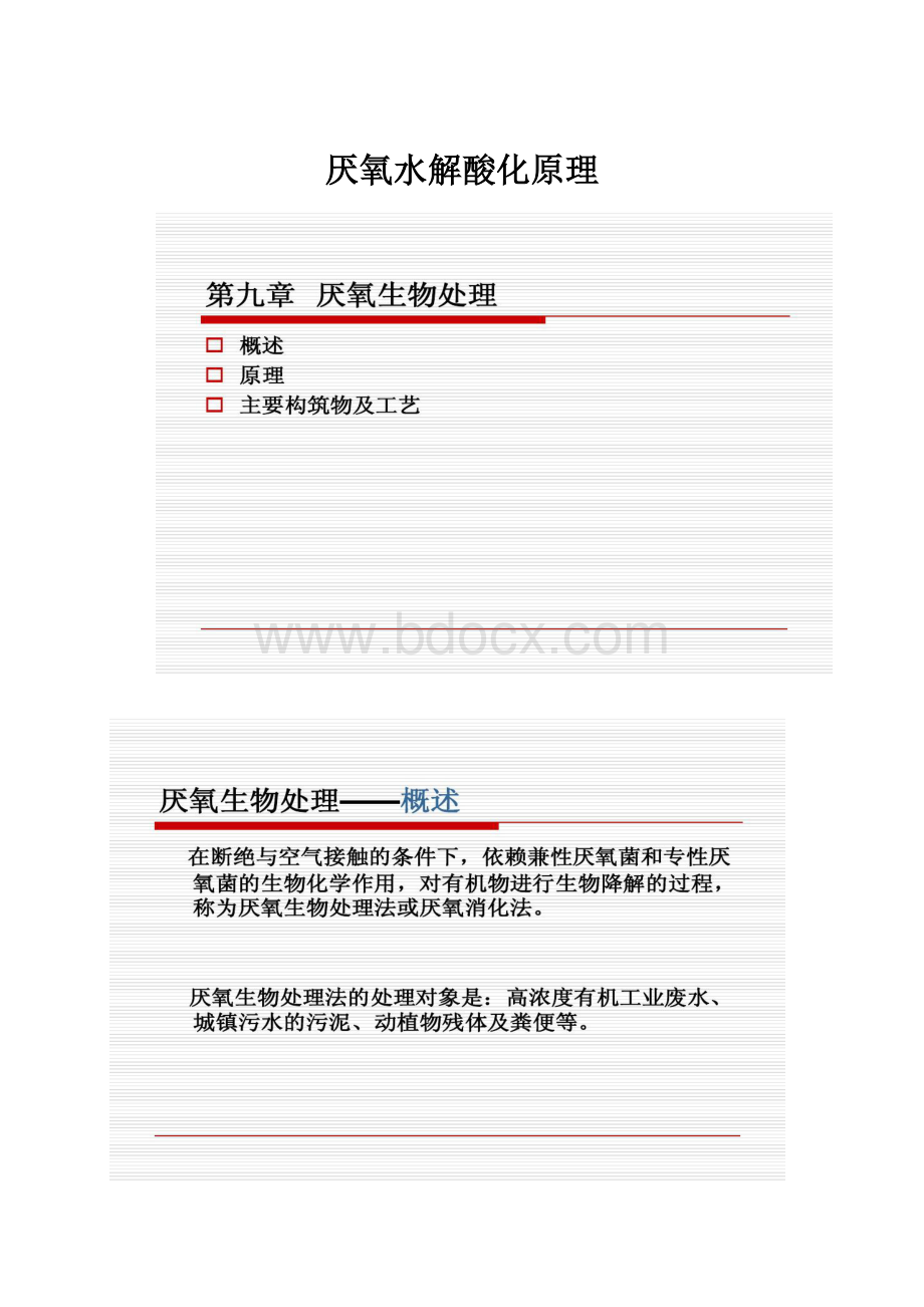 厌氧水解酸化原理Word文档格式.docx