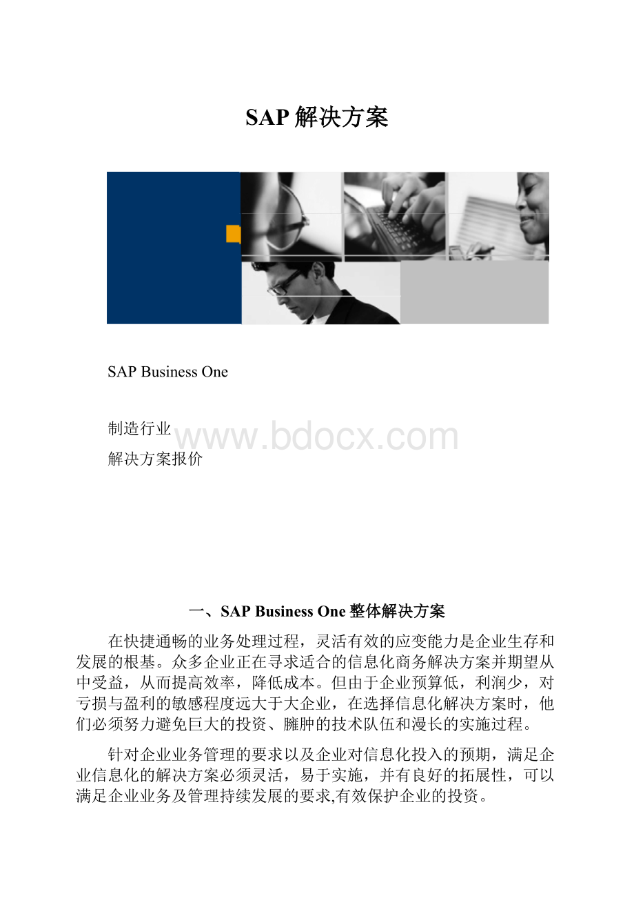 SAP解决方案.docx_第1页