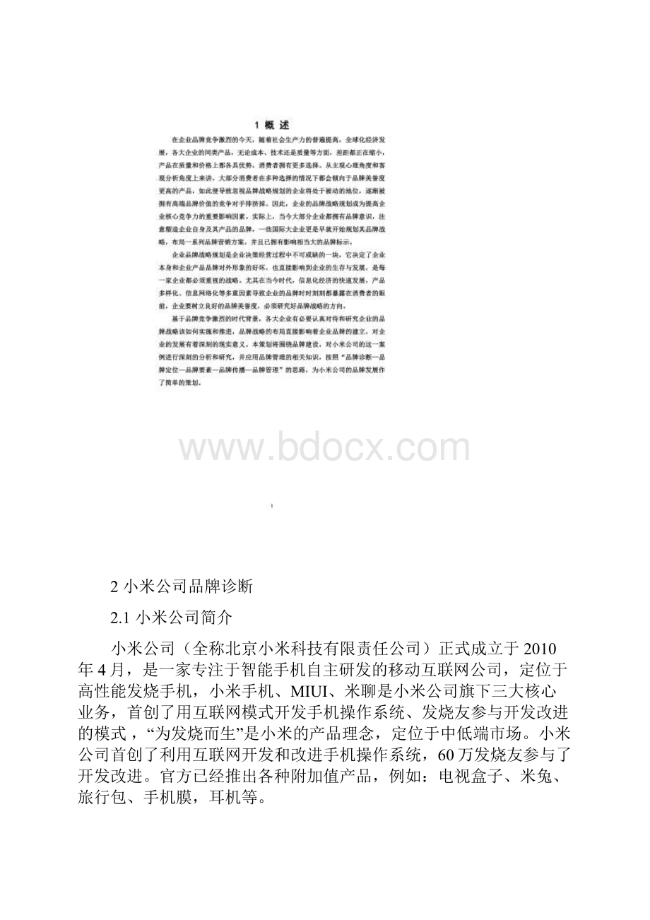 小米品牌营销设计.docx_第3页