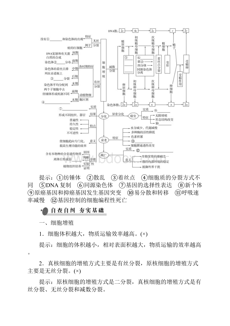 高考生物二轮复习专题三细胞的增殖与生命历程考点一有丝分裂与减数分裂学案doc.docx_第2页