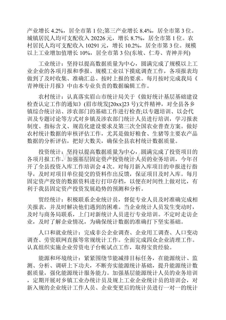 县统计局局长个人工作总结.docx_第2页