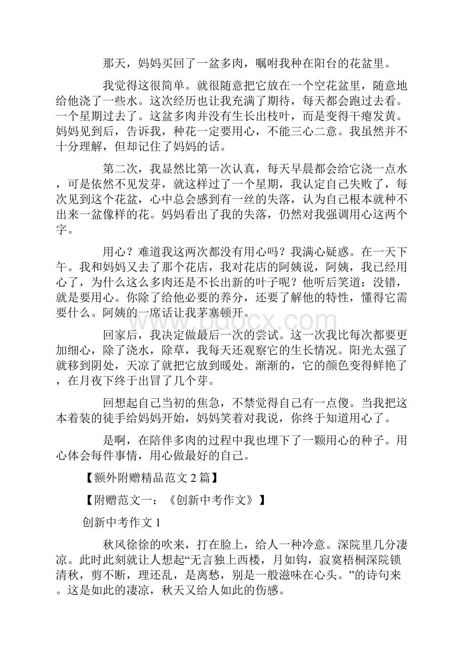 就这样埋下一颗种子中考作文.docx_第3页