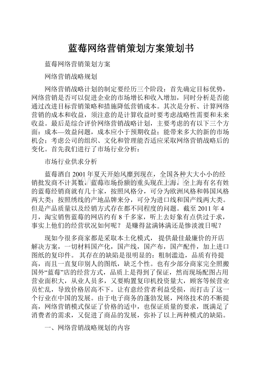 蓝莓网络营销策划方案策划书.docx