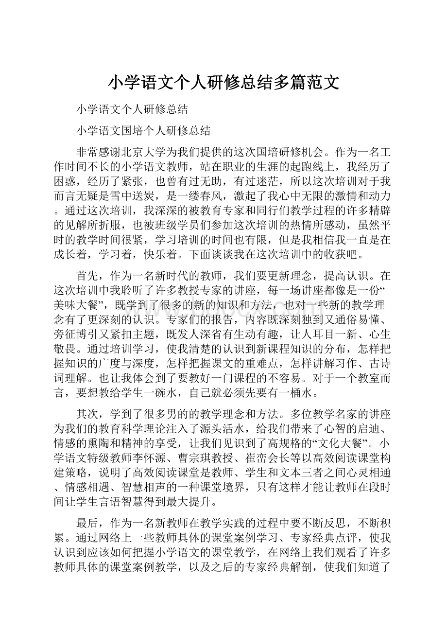 小学语文个人研修总结多篇范文.docx