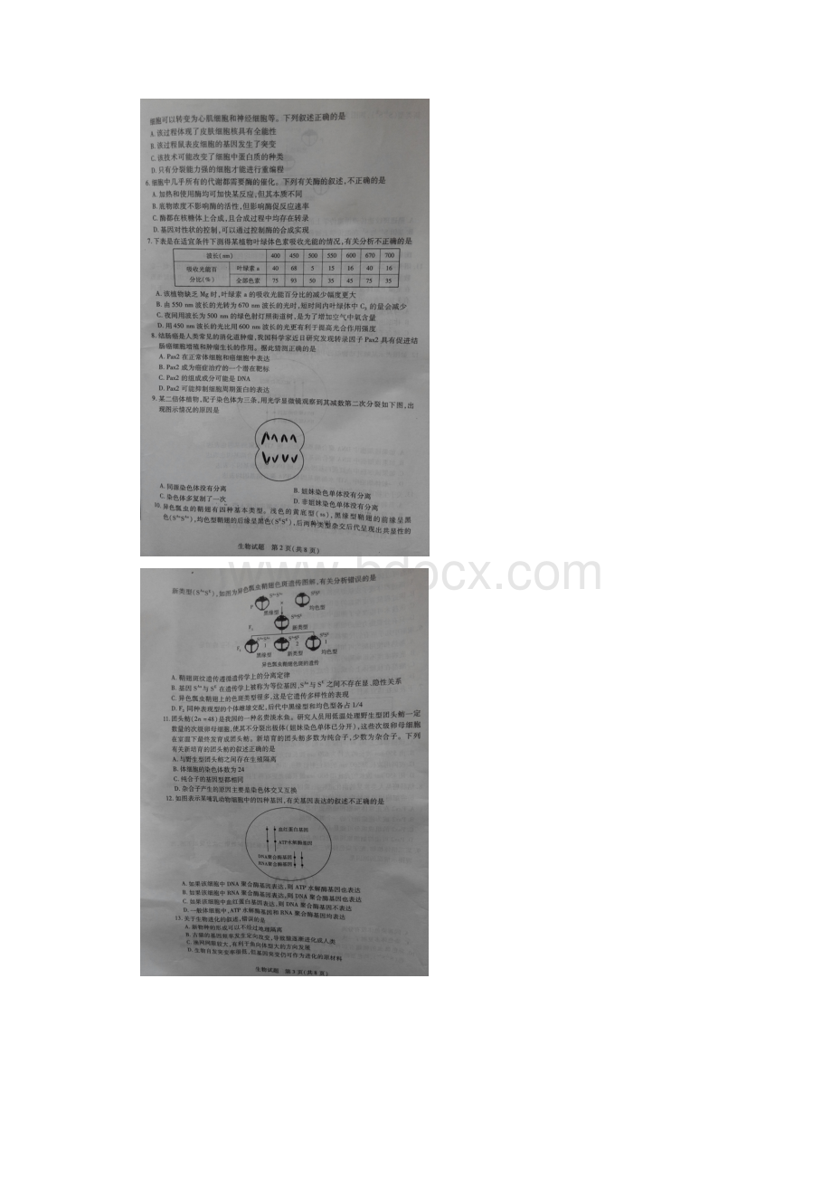 河南省安阳市届高三毕业班调研考试生物试题扫描版.docx_第2页