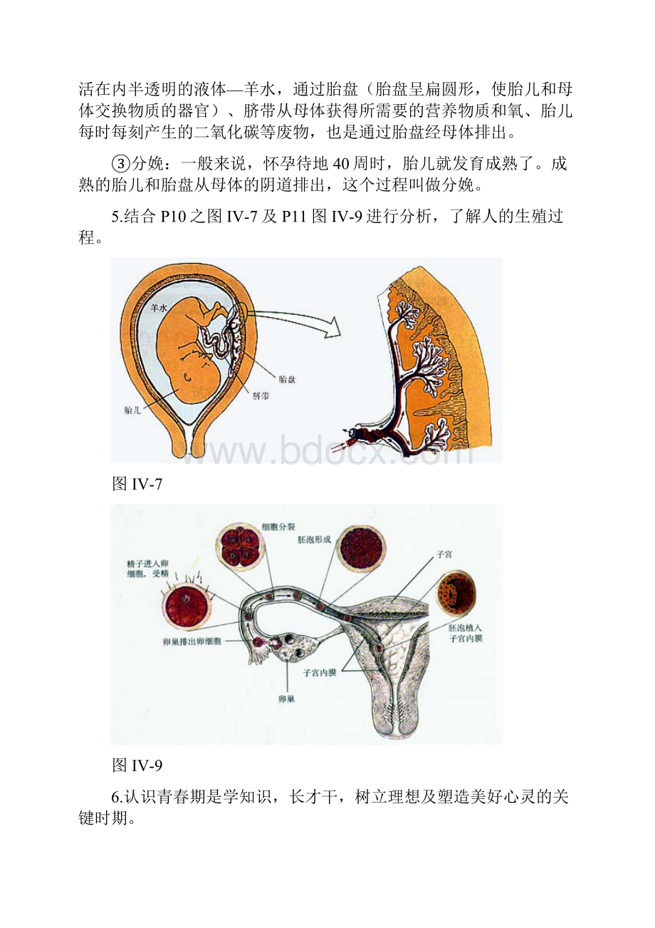 生物七年级下复习提纲.docx_第3页