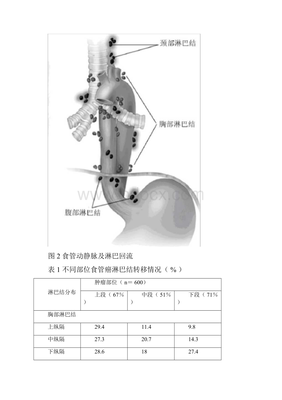 消化道肿瘤内科治疗.docx_第2页