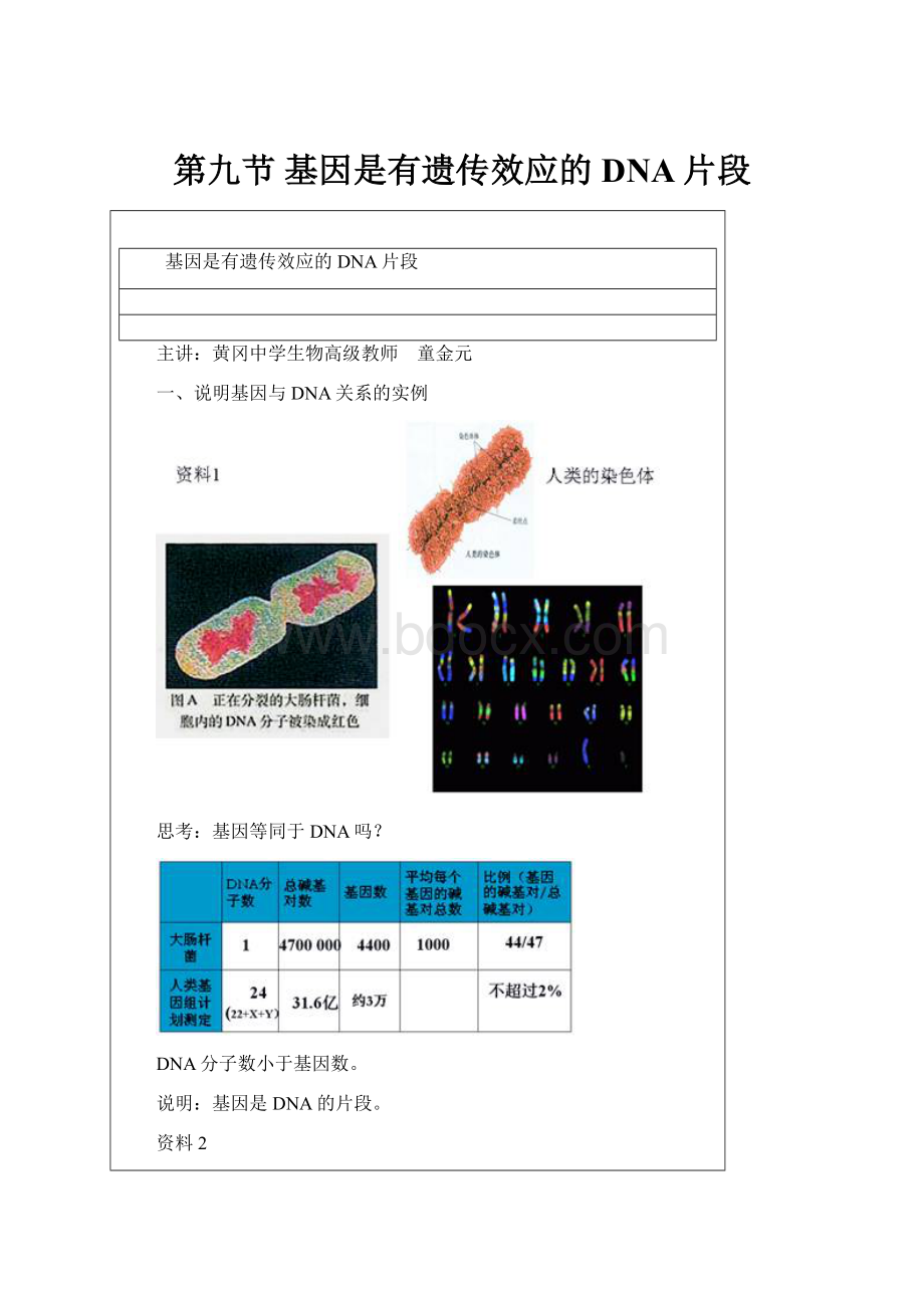 第九节 基因是有遗传效应的DNA片段.docx