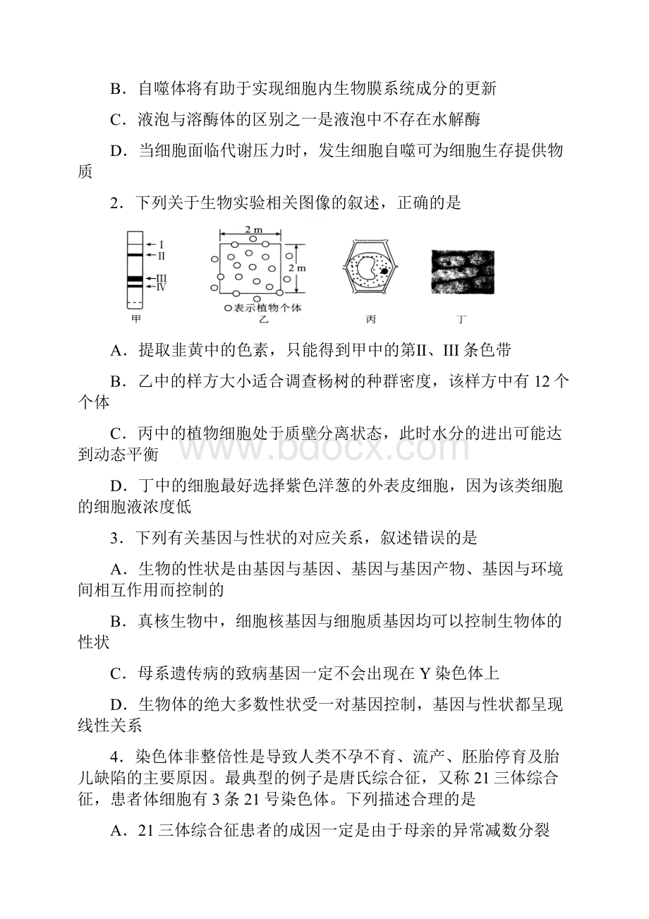 届普通高等学校招生全国统一考试高三理综模拟四.docx_第2页