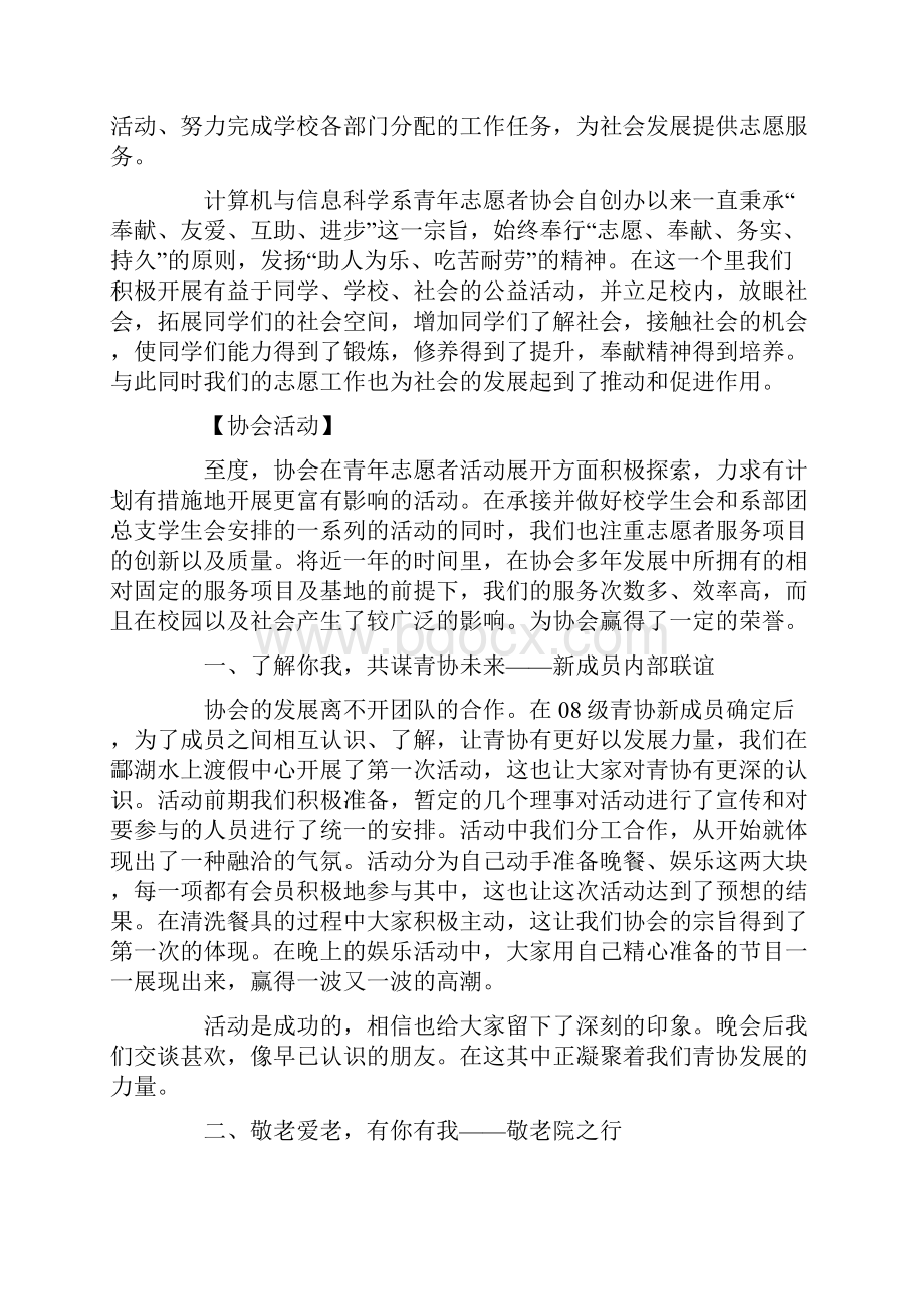 青年志愿者活动总结4篇.docx_第3页