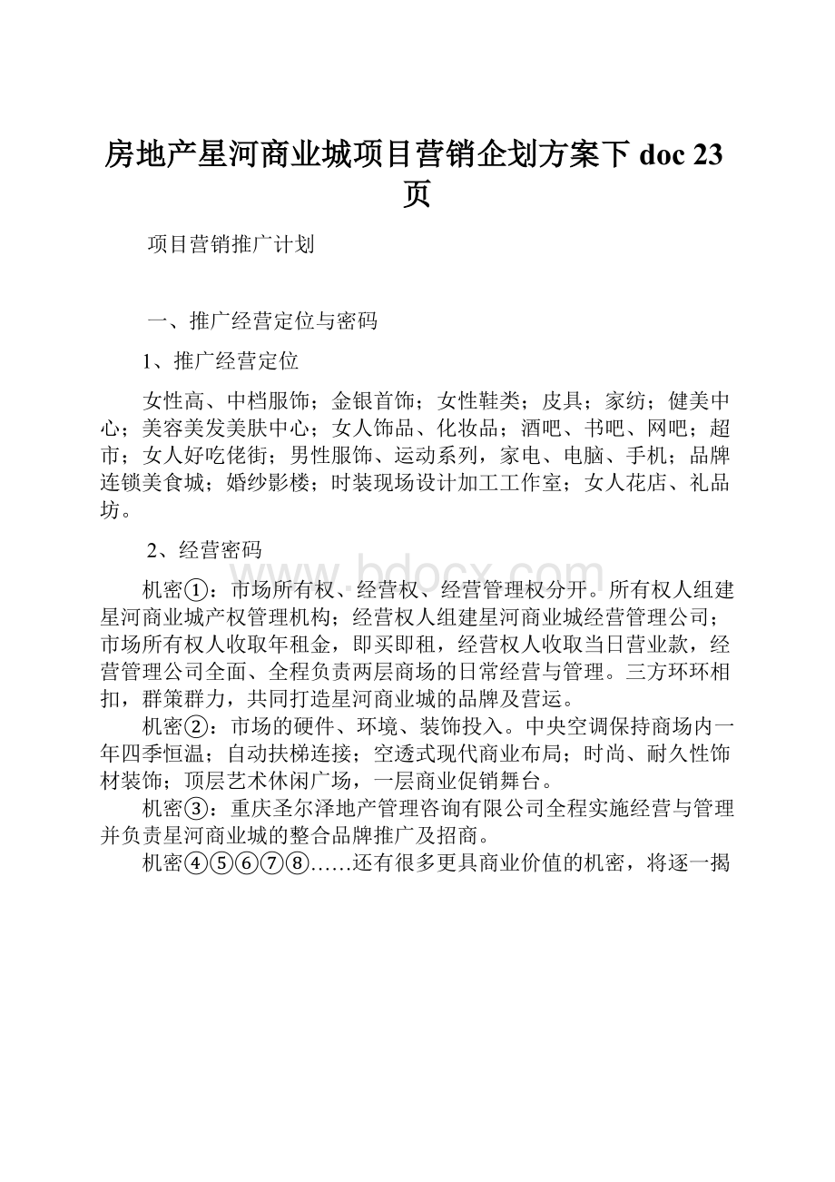 房地产星河商业城项目营销企划方案下doc 23页.docx