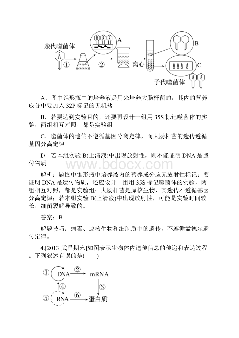 高考生物二轮总复习体系整合拓展+高频考点透析+真题分层升能+适考素能特训遗传的分子基础.docx_第3页