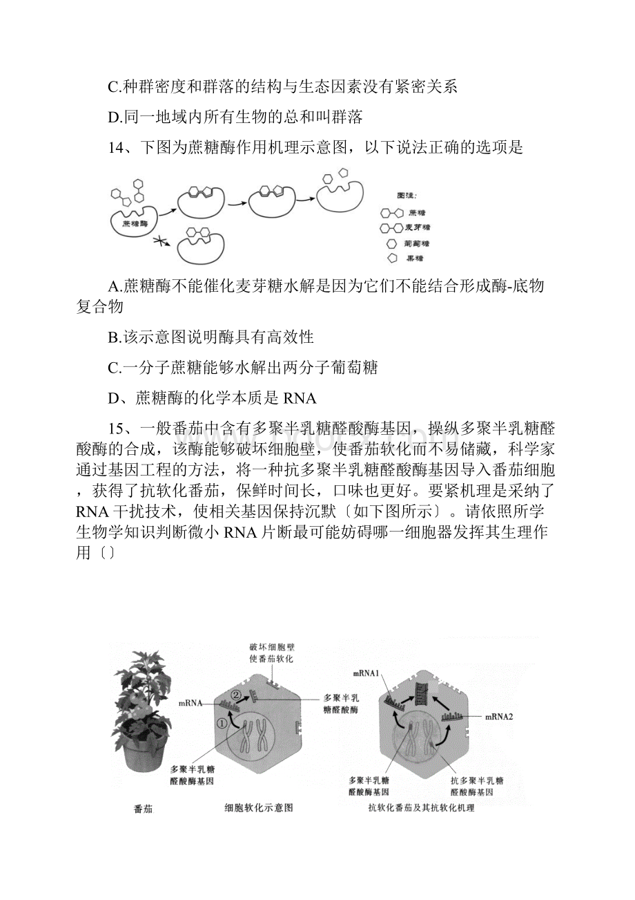 江苏涟水中学高三下学期期初检测生物.docx_第3页