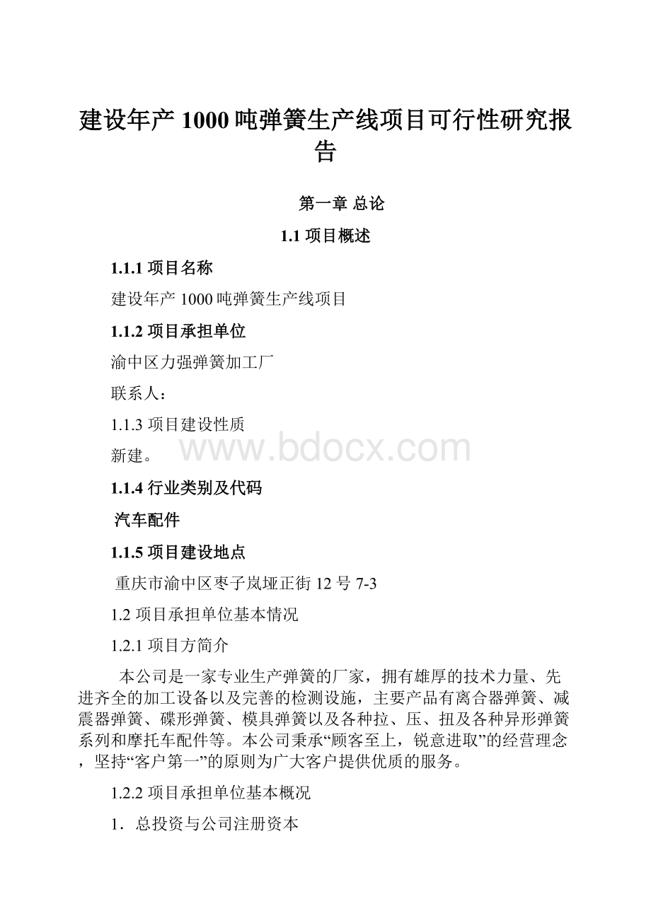 建设年产1000吨弹簧生产线项目可行性研究报告.docx