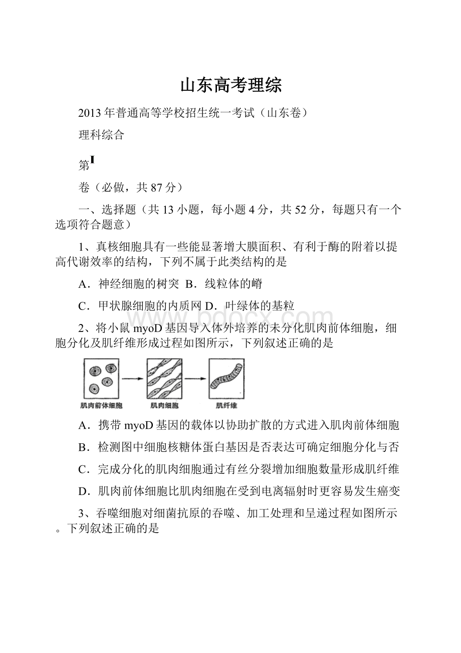 山东高考理综.docx