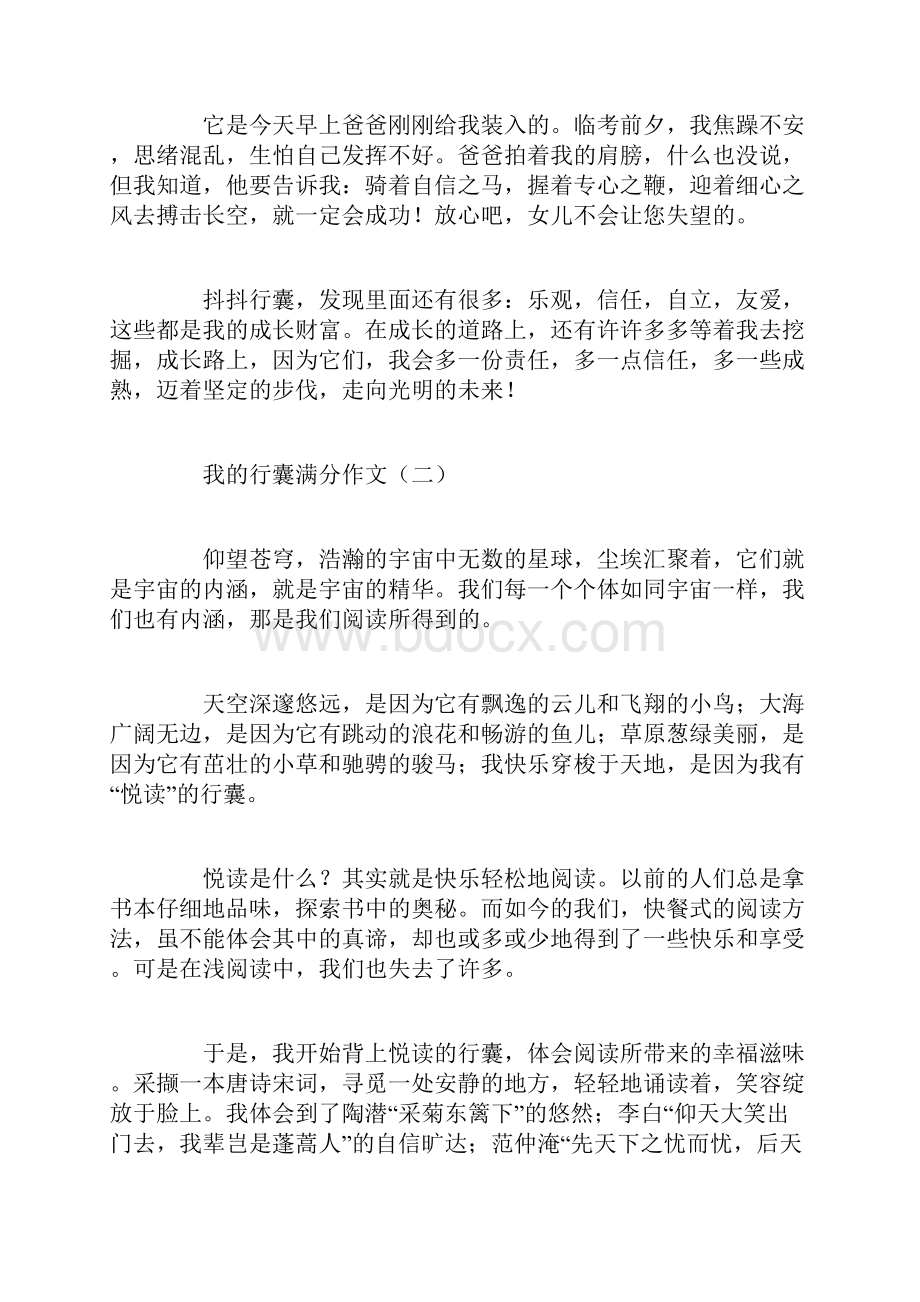 我的行囊满分作文优秀作文.docx_第2页