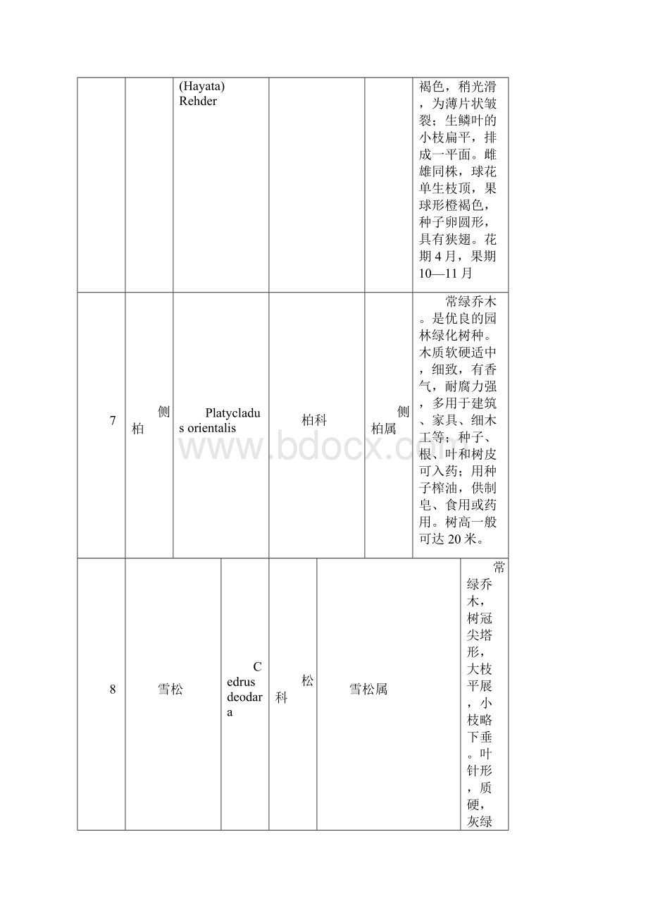 河南农大校园植物.docx_第3页