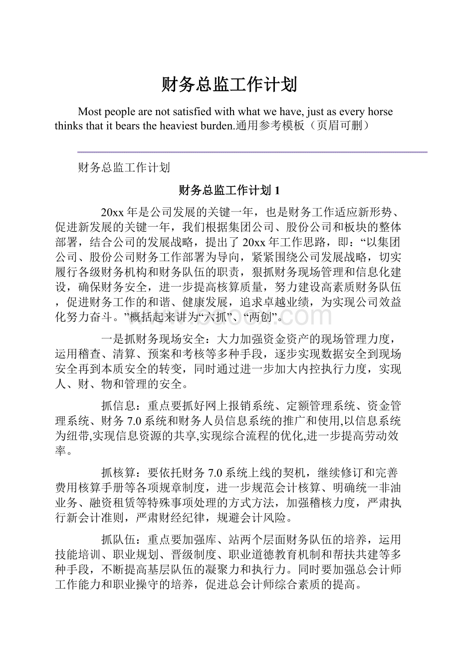 财务总监工作计划.docx_第1页