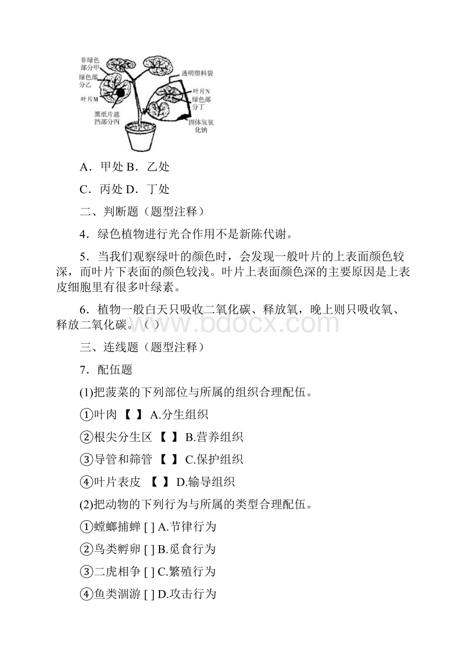 绿色植物是生物圈中有机物的制造者有解析.docx_第2页