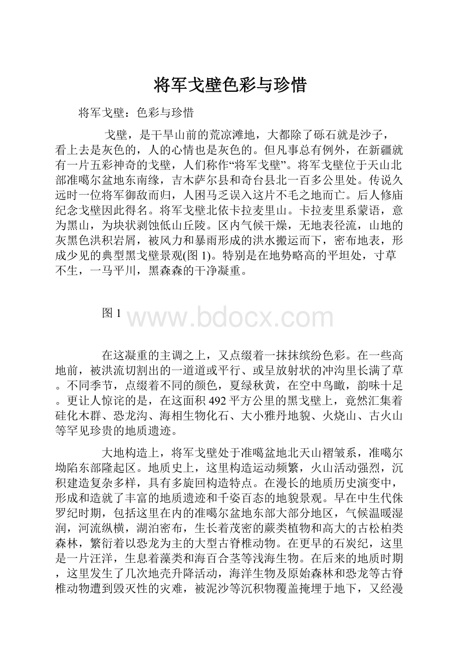 将军戈壁色彩与珍惜.docx