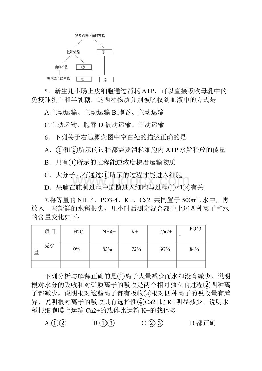 北京市朝阳外国语学校学年度高二生物测验.docx_第2页