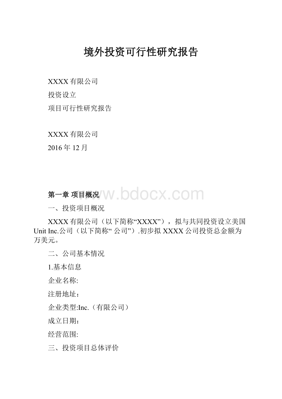 境外投资可行性研究报告.docx