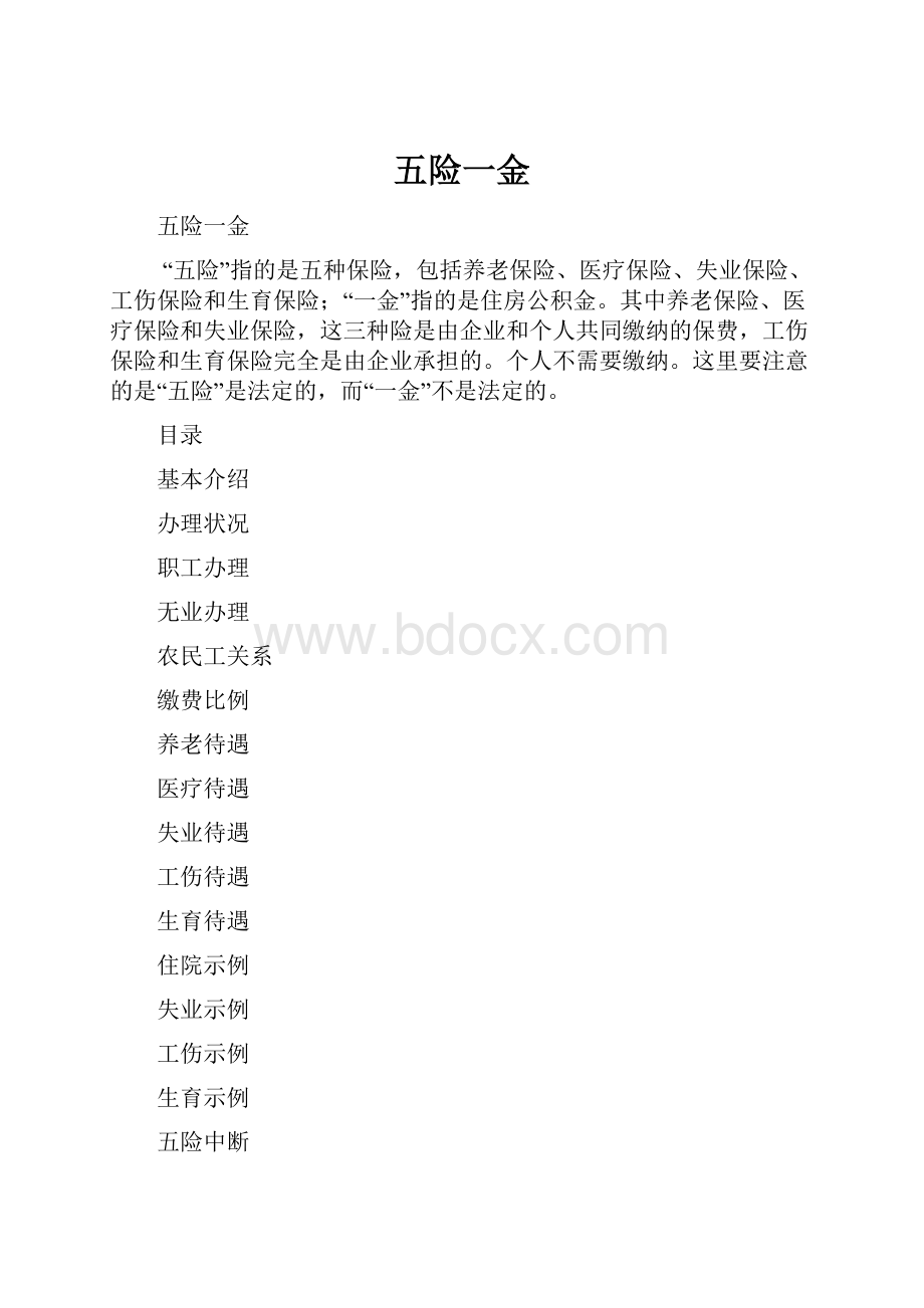 五险一金.docx_第1页