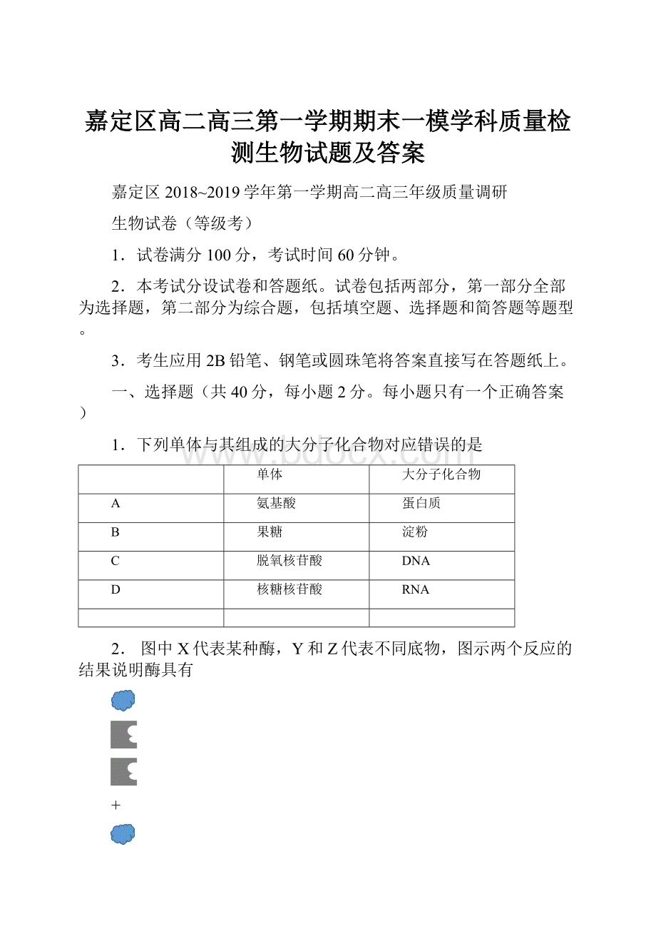 嘉定区高二高三第一学期期末一模学科质量检测生物试题及答案.docx_第1页