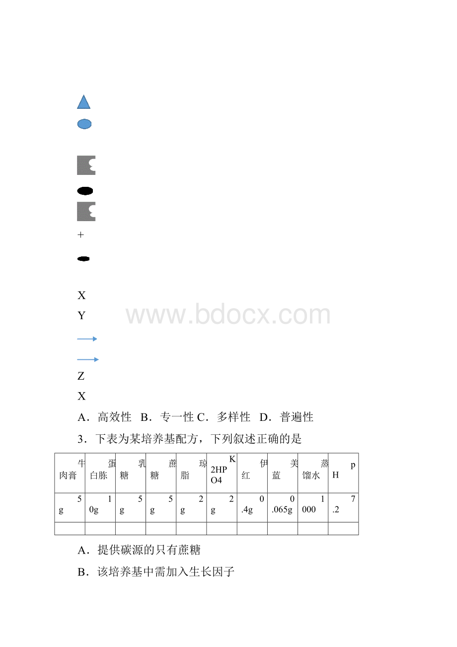 嘉定区高二高三第一学期期末一模学科质量检测生物试题及答案.docx_第2页