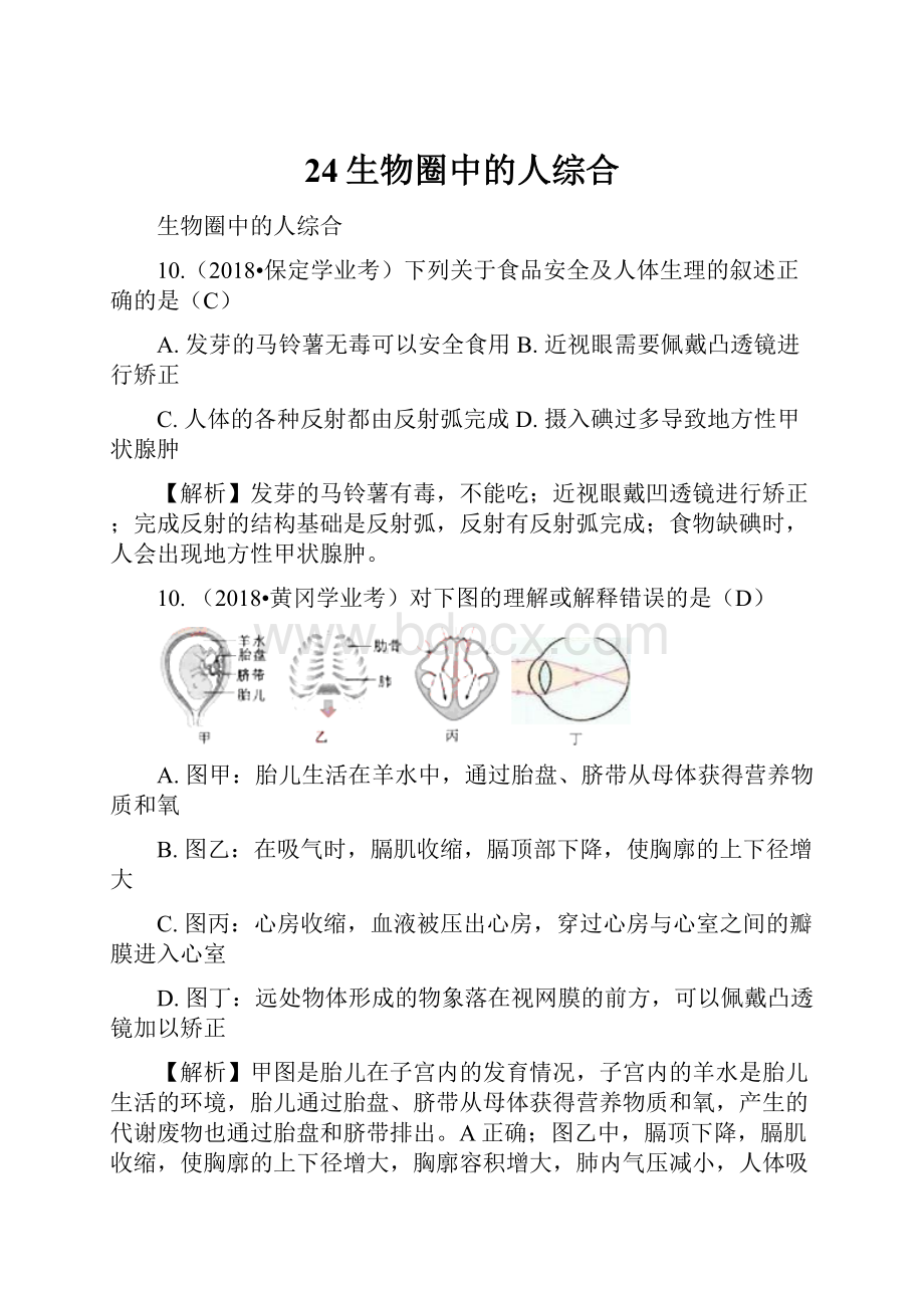 24生物圈中的人综合.docx