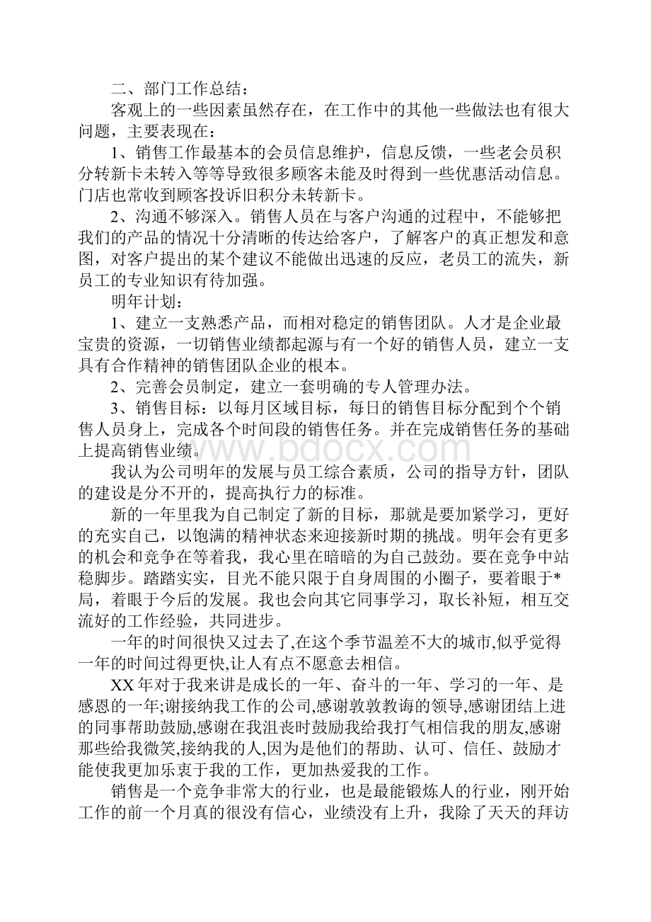 精品工作总结范文销售工作总结与计划大全.docx_第2页