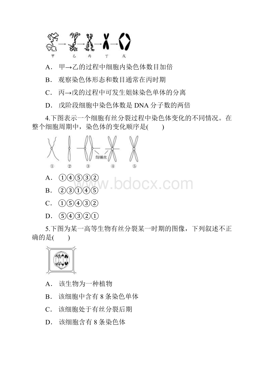 人教版高一生物必修一同步精选对点训练图像曲线类植物细胞分裂各时期的特点有解析.docx_第2页