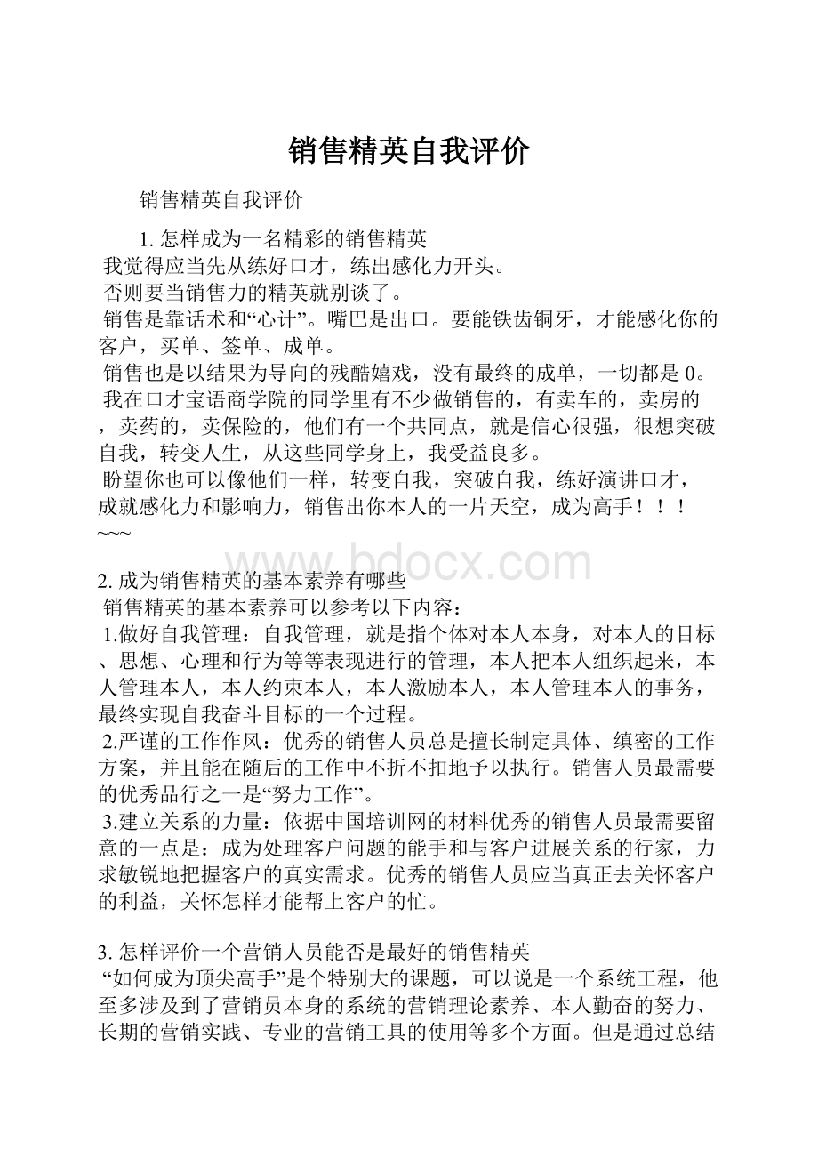 销售精英自我评价.docx_第1页