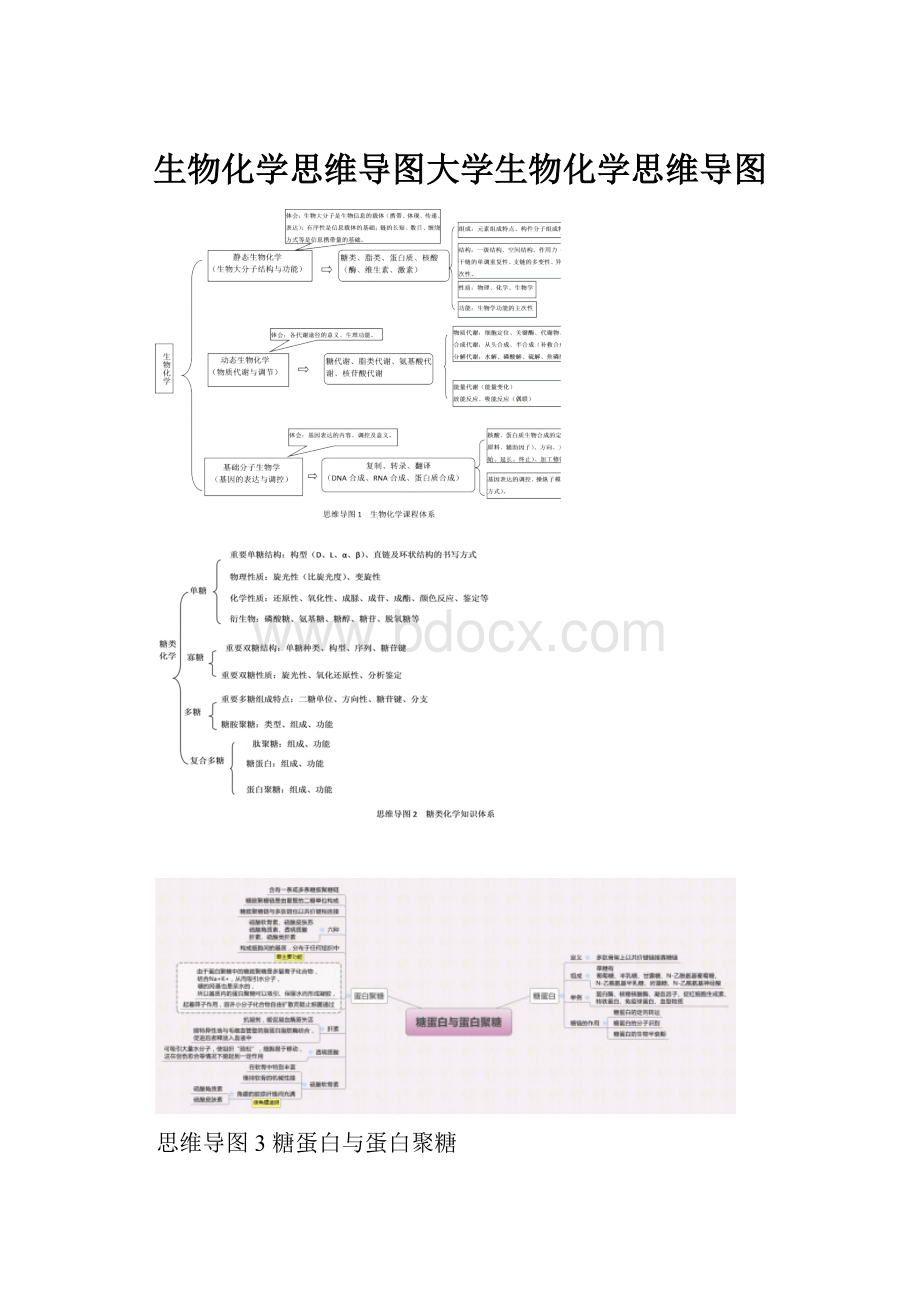 生物化学思维导图大学生物化学思维导图.docx_第1页