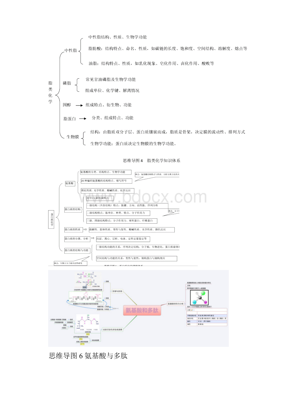 生物化学思维导图大学生物化学思维导图.docx_第2页