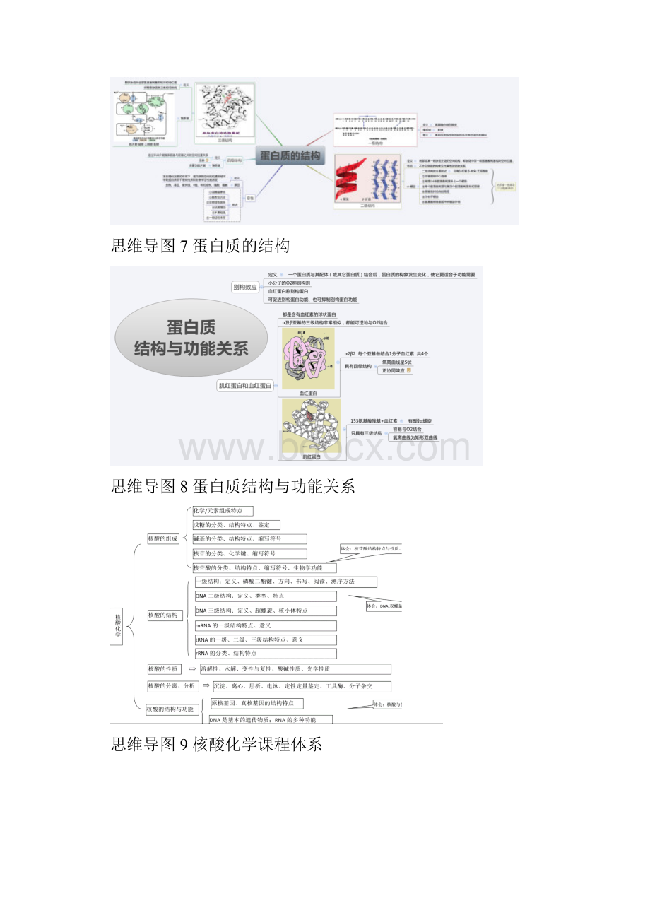 生物化学思维导图大学生物化学思维导图.docx_第3页