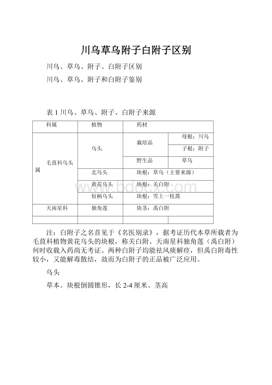 川乌草乌附子白附子区别.docx_第1页