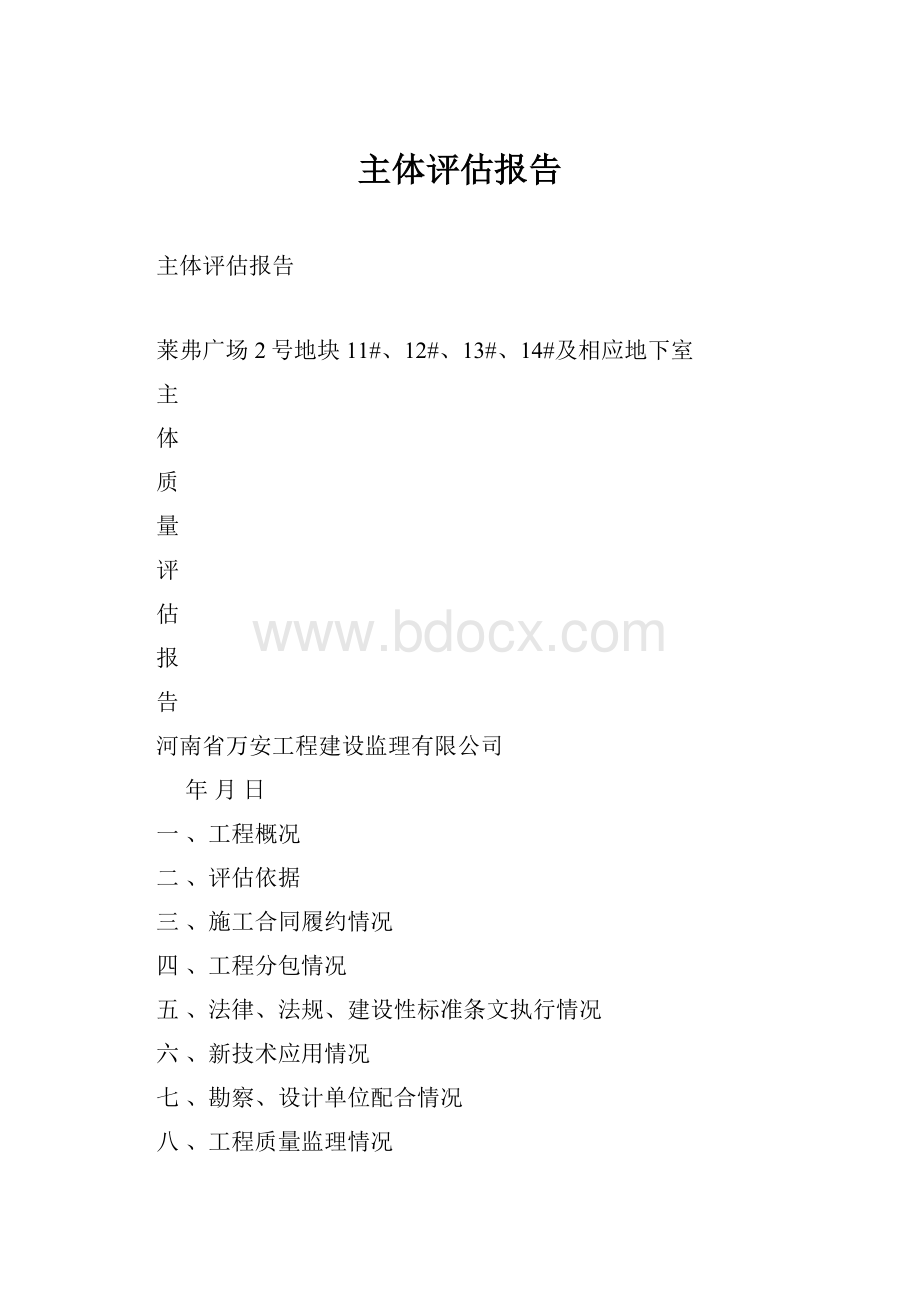 主体评估报告.docx