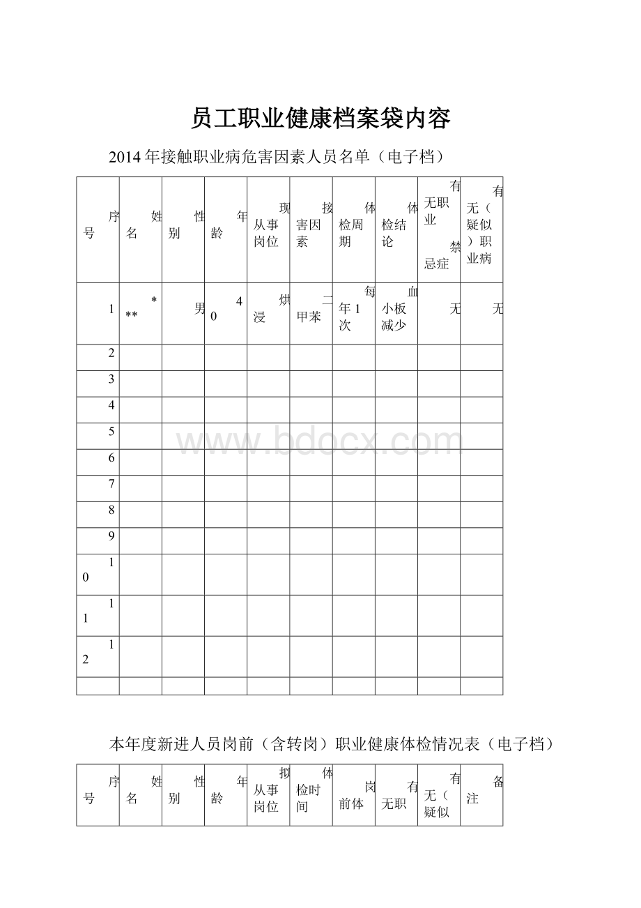 员工职业健康档案袋内容.docx_第1页