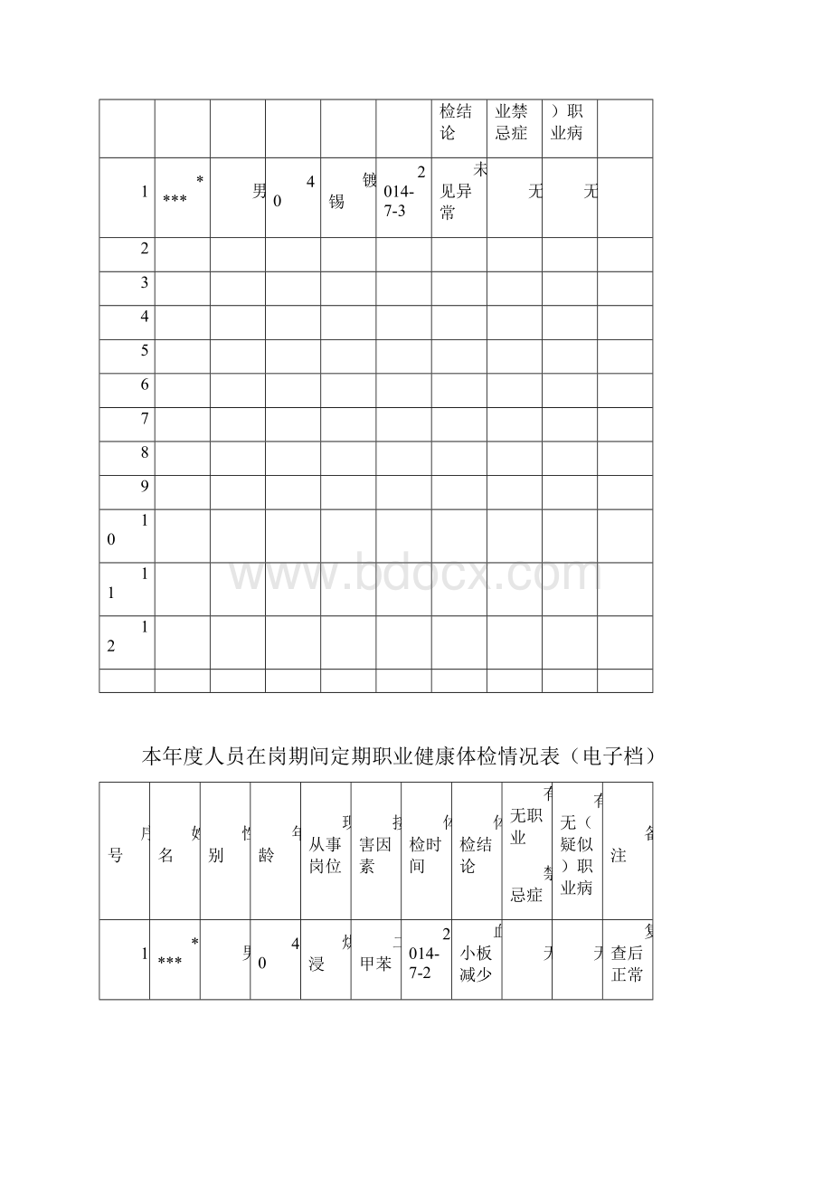 员工职业健康档案袋内容.docx_第2页