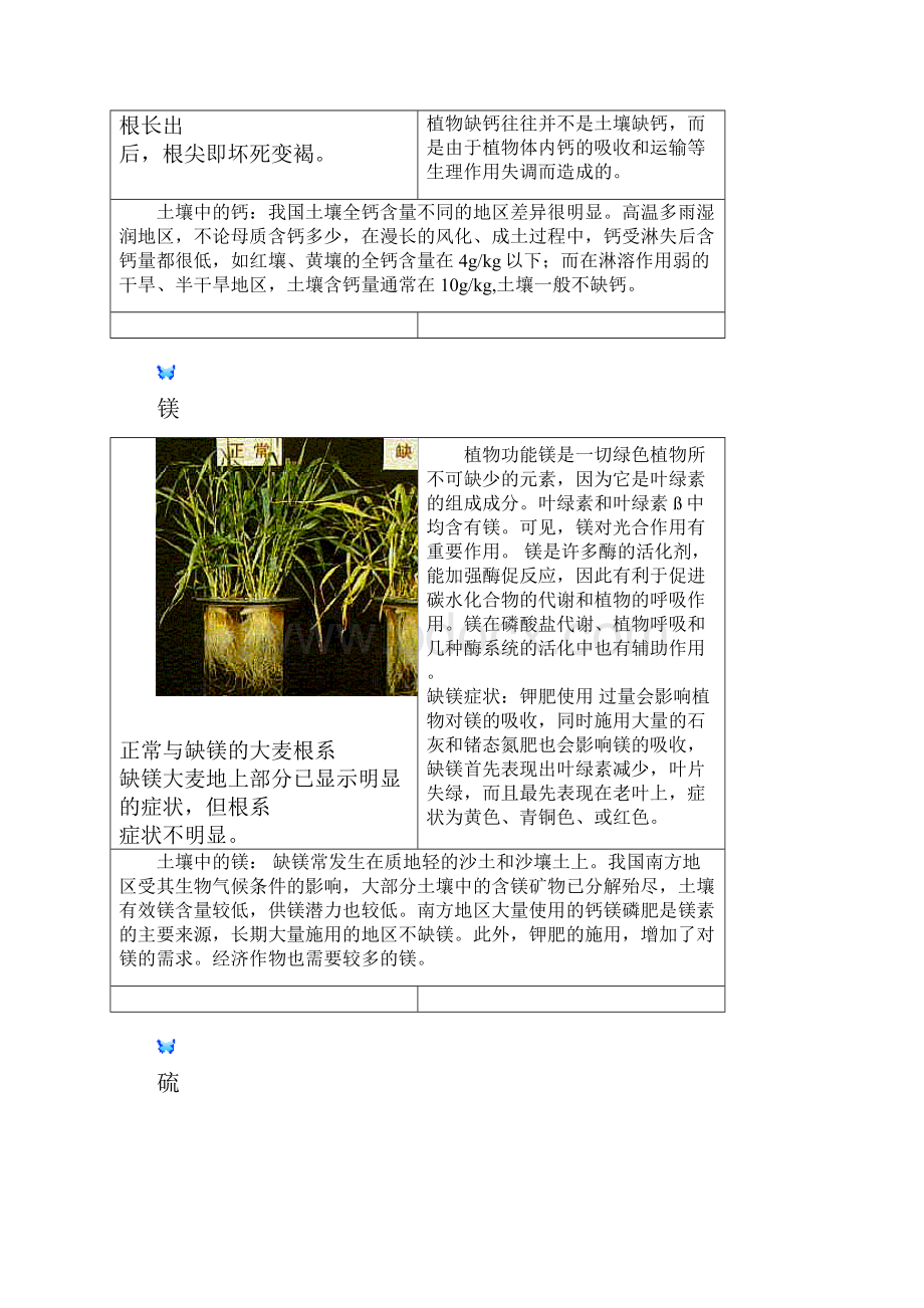 植物生长所必须的营养元素.docx_第2页