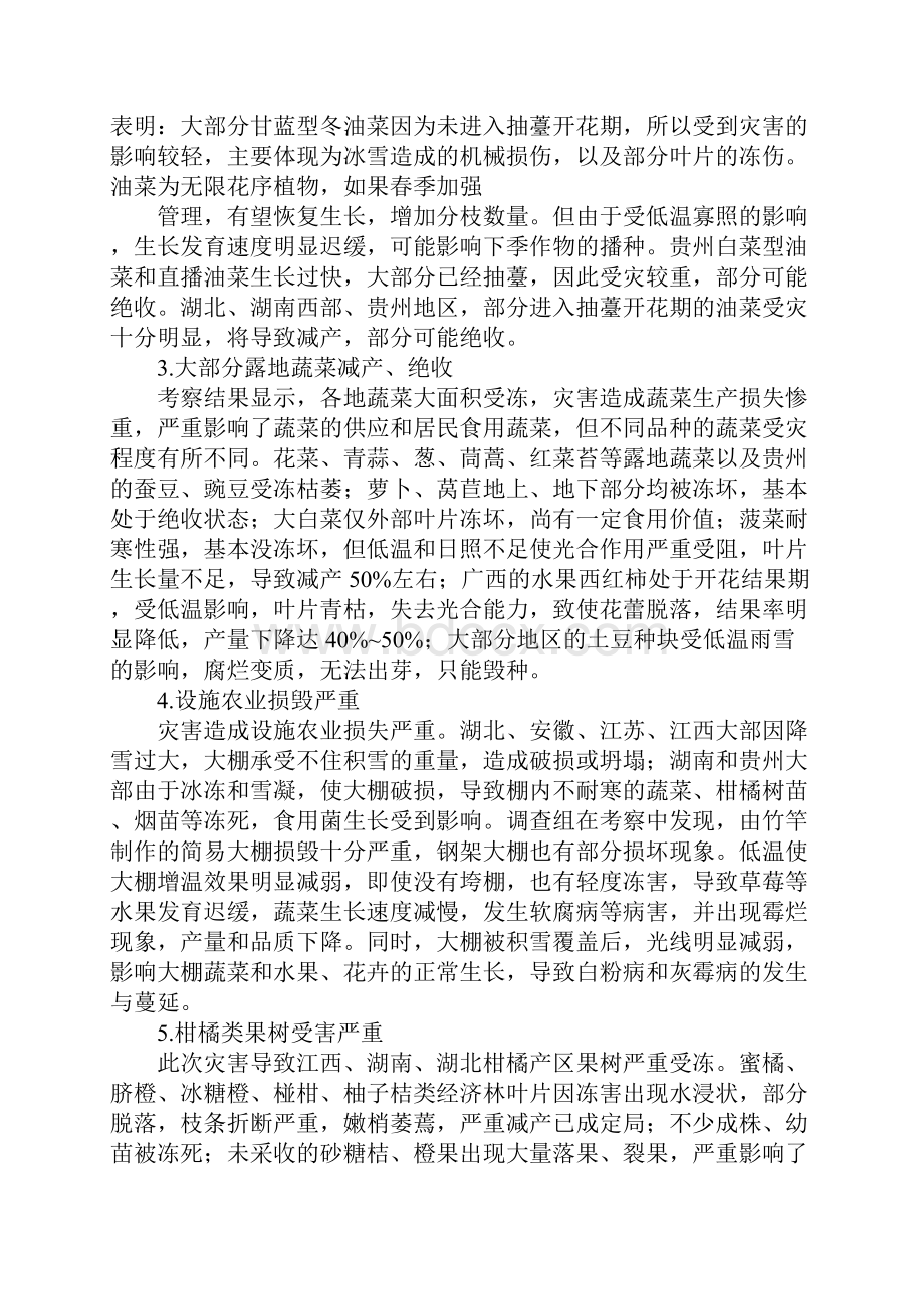 农业灾害情况汇报.docx_第3页