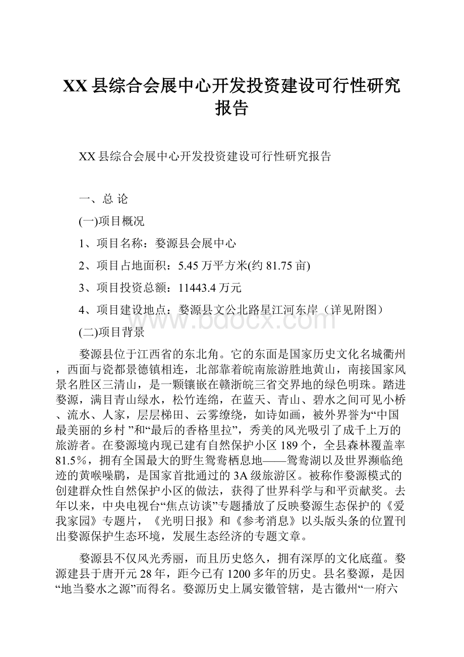 XX县综合会展中心开发投资建设可行性研究报告.docx