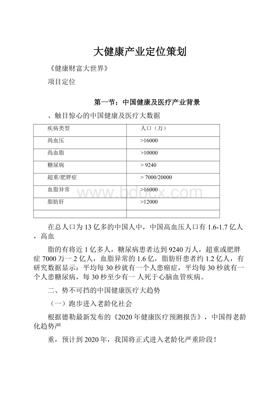 大健康产业定位策划.docx