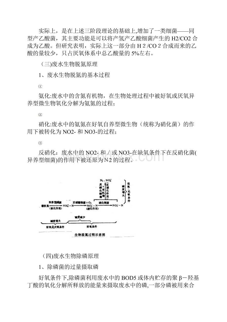 废水生物处理课程报告.docx_第3页