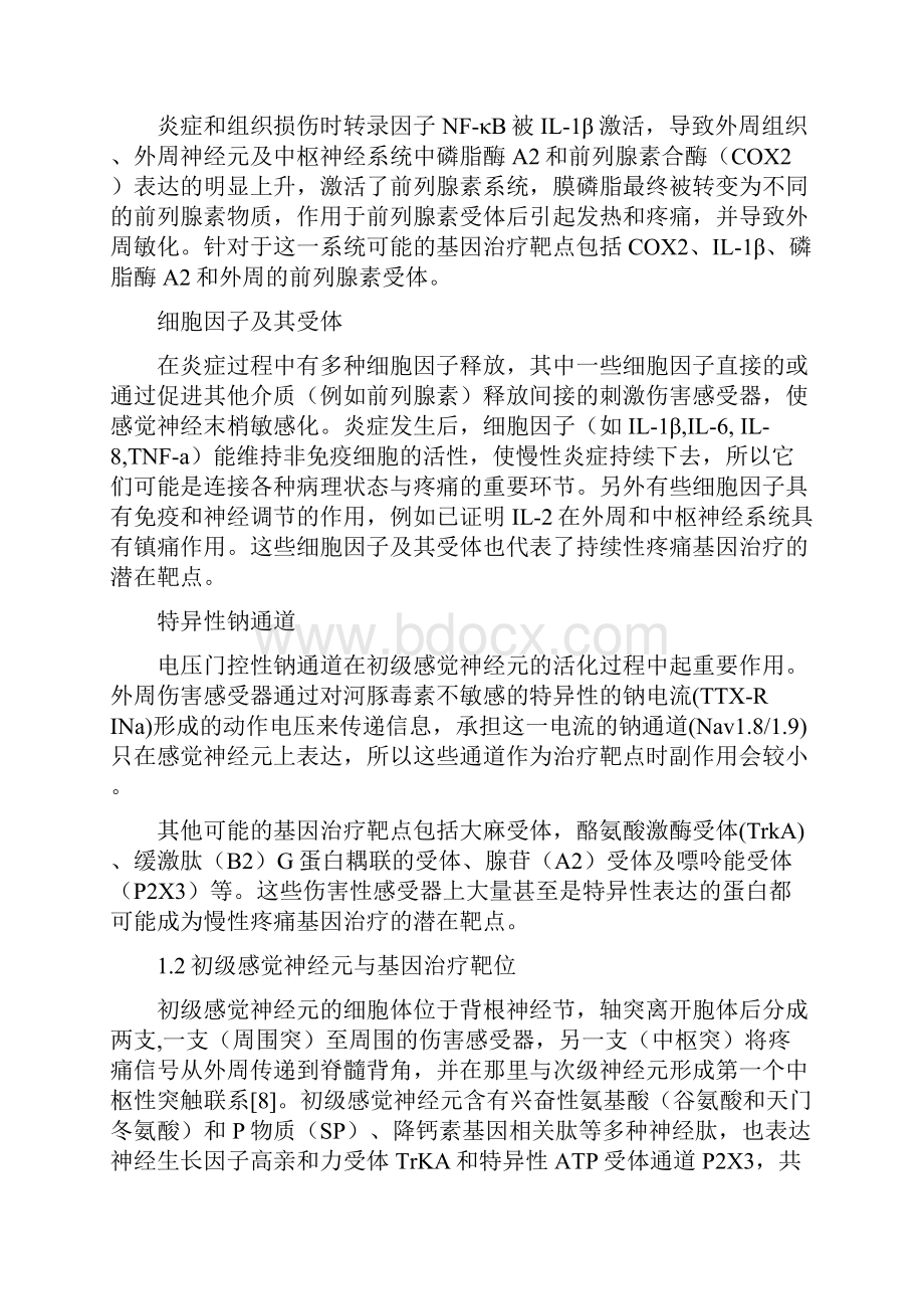 基于痛觉通路及其分子机制的慢性疼痛基因治疗策略.docx_第3页