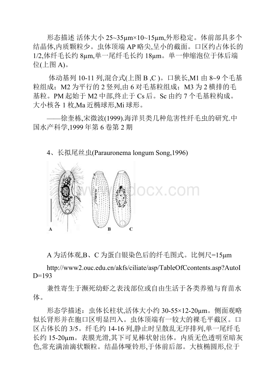 21种海水盾纤虫图谱及形态描述.docx_第3页