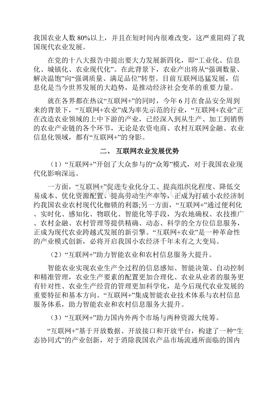 互联网品牌农业实施计划方案.docx_第2页