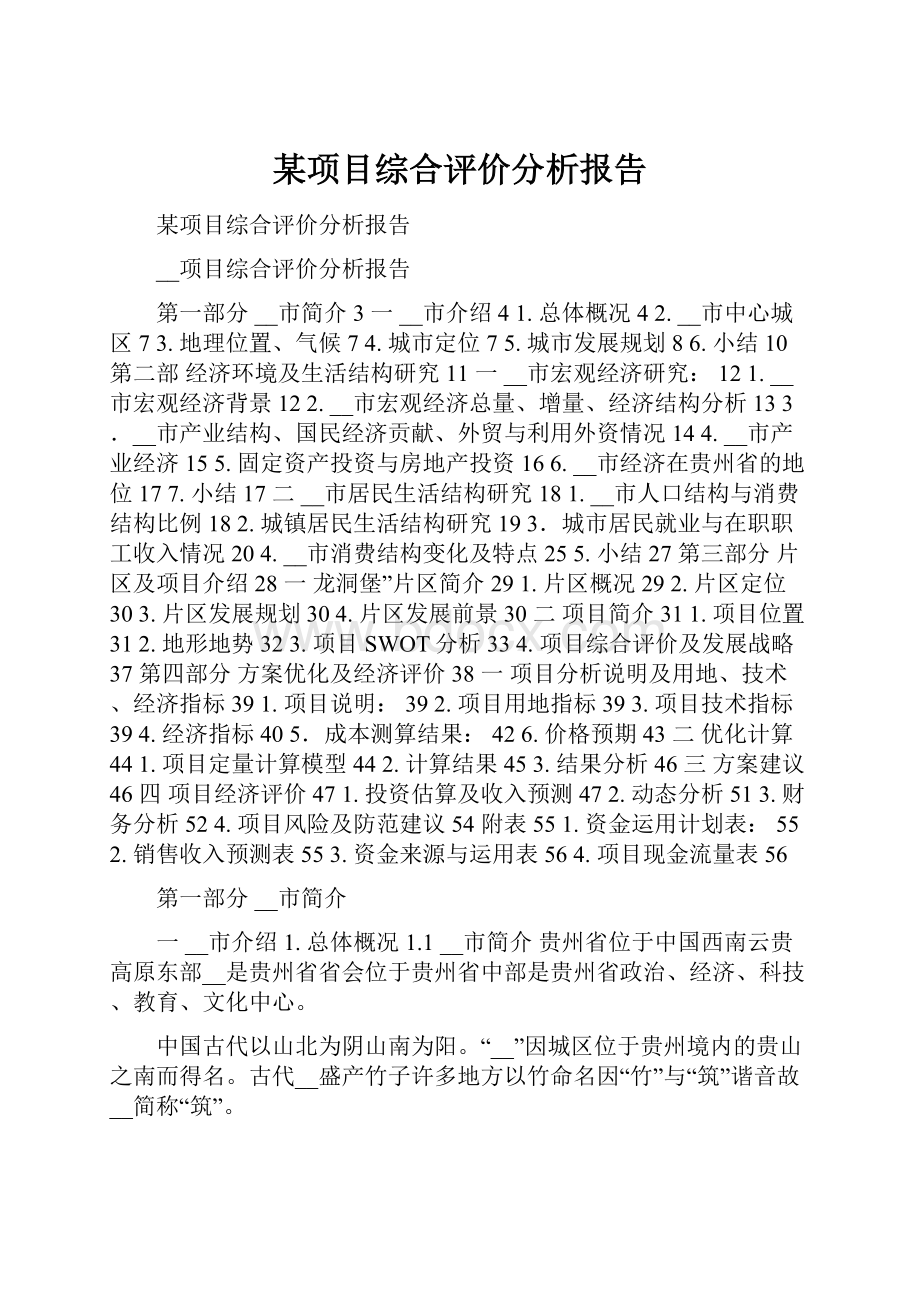 某项目综合评价分析报告.docx_第1页