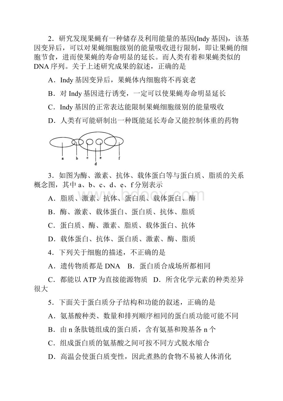 届齐鲁名校教科研协作山东省高三第一次调研考试 生物试题及答案.docx_第2页